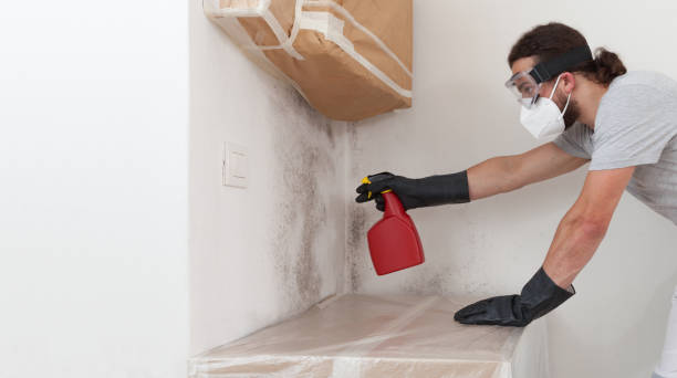 Professional Attic Mold Remediation technician working in Brooks, KY